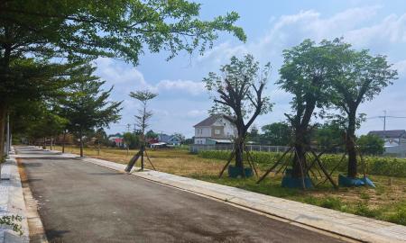Hình ảnh dự án 6